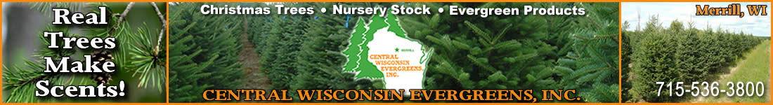 Christmas Trees/Nursery Stock/Evergreen Products Central Wisconsin Evergreens