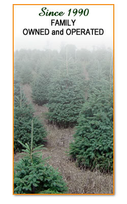 Family Owned Tree Nursery in Wisconsin